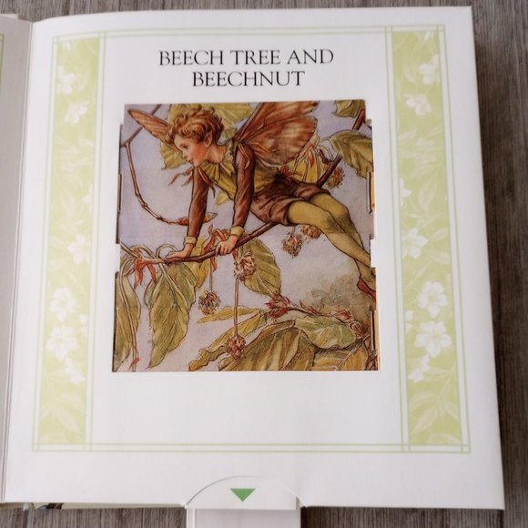 The Flower Fairies Changing Seasons: A Sliding Picture Book (Flower Fairies) - Picture 4 of 5